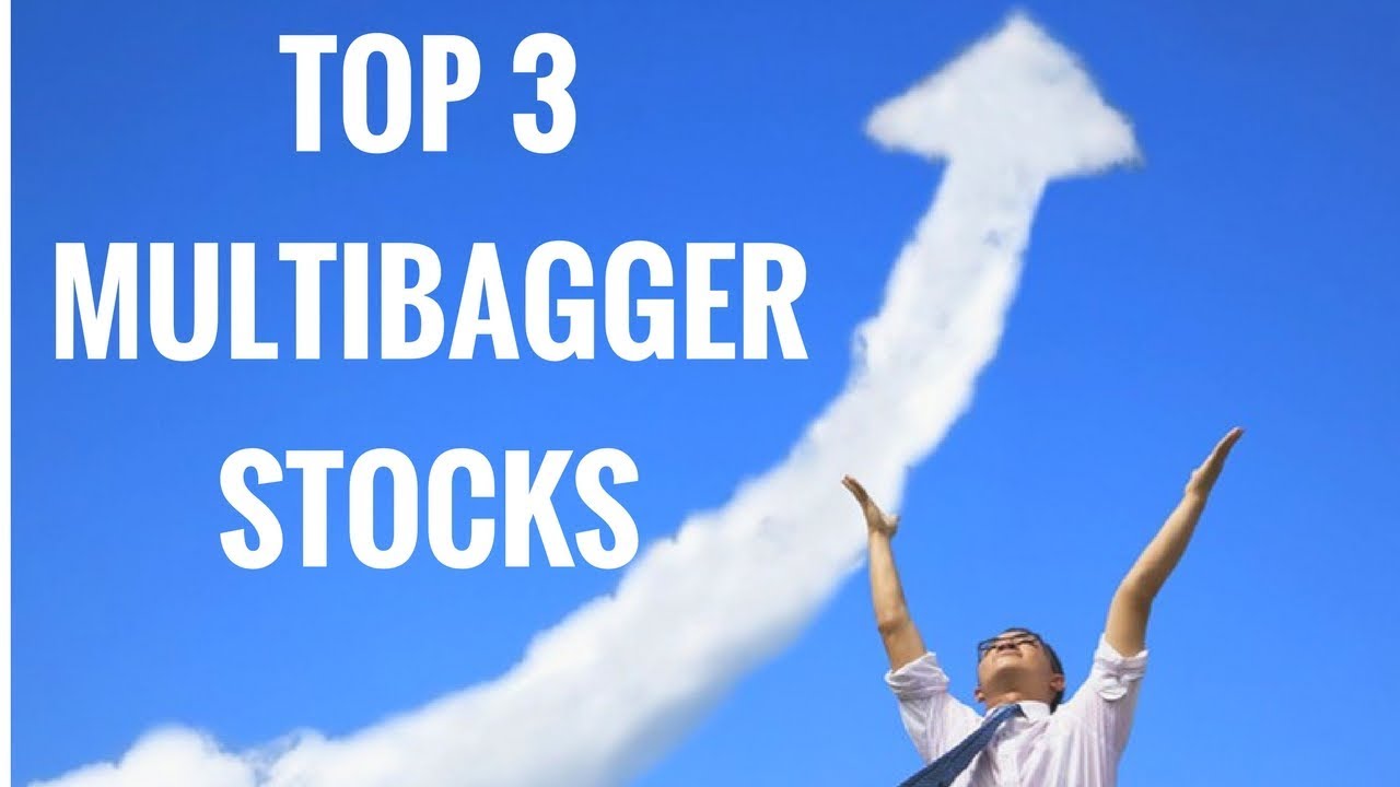 TOP 3 Multibagger Stocks | Explained