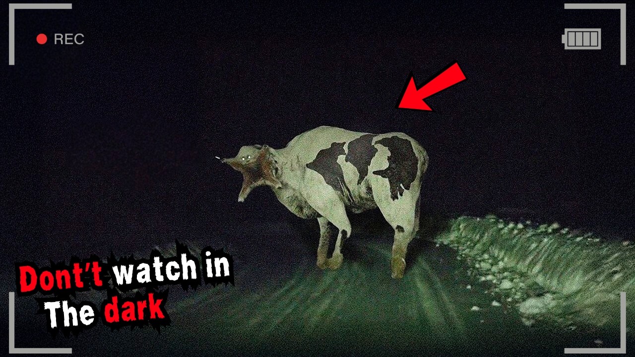 10 Scary Paranormal Sightings Accidentally Captured on Camera