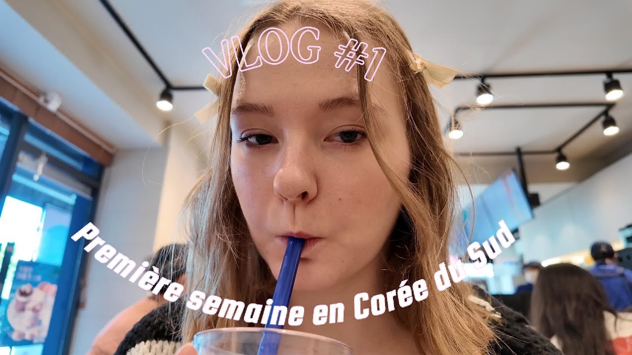 [ENG SUB] VLOG #1 - Arrivée en Corée du Sud (départ, Goshiwon, visite de quartiers, etc)