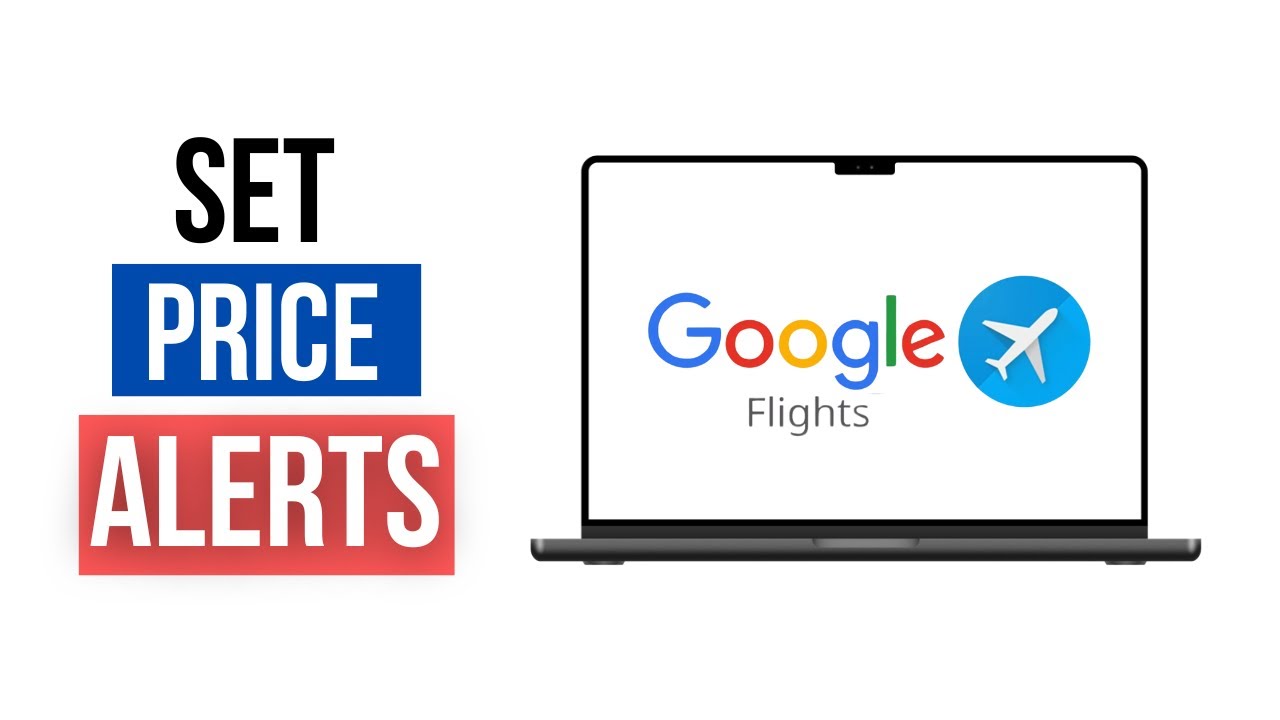 How to Set Price Alerts on Google Flights | No-nonsense Tips