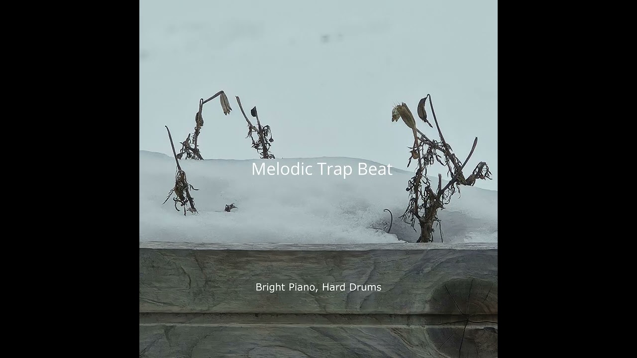 Melodic Trap Type Beat | Bright Piano x Hard Drums