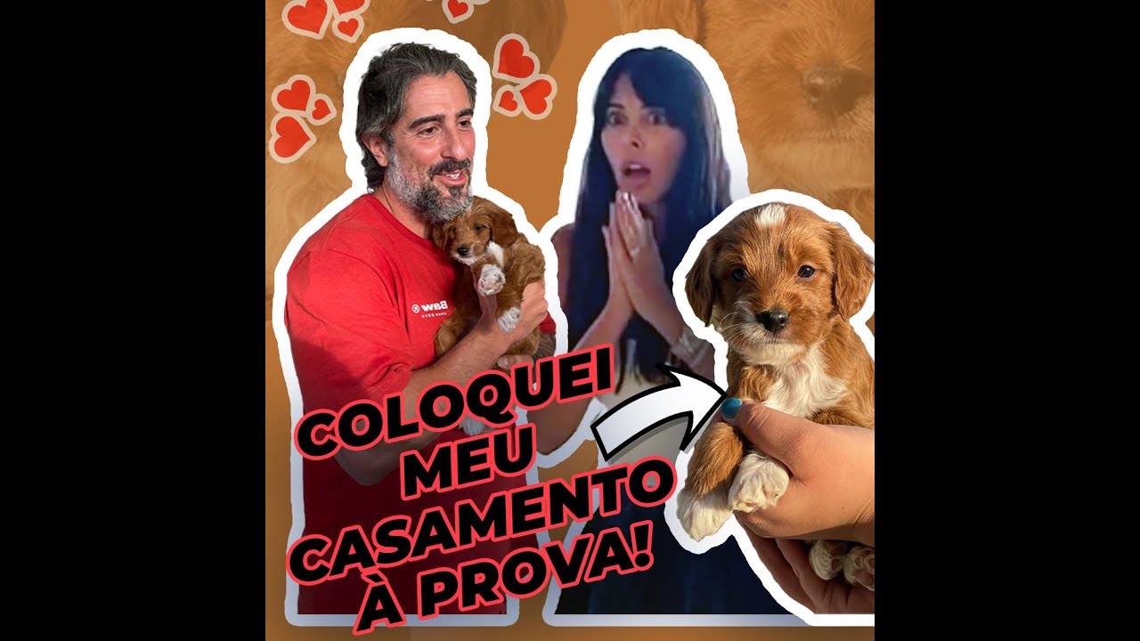 COLOQUEI MEU CASAMENTO A PROVA! A saga da chegada do Pudim!