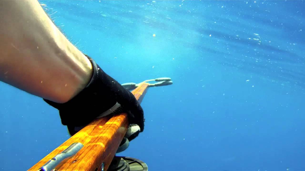 Mahi spearfishing with Riffe euro-X