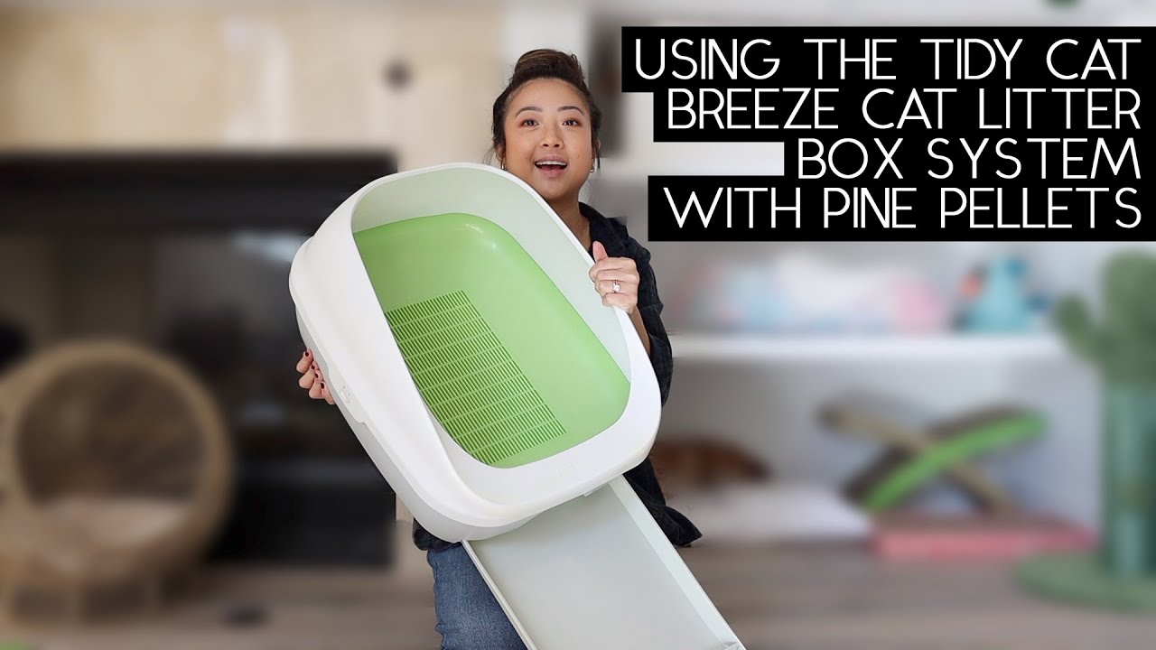 TIDY CAT BREEZE LITTER BOX SYSTEM WITH PINE PELLET REVIEW | SVEN AND ROBBIE