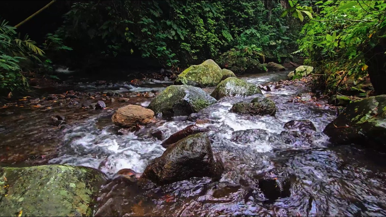 Relaxing River Sounds for Deep Sleep – Gentle Water White Noise for Study and Calm Mind