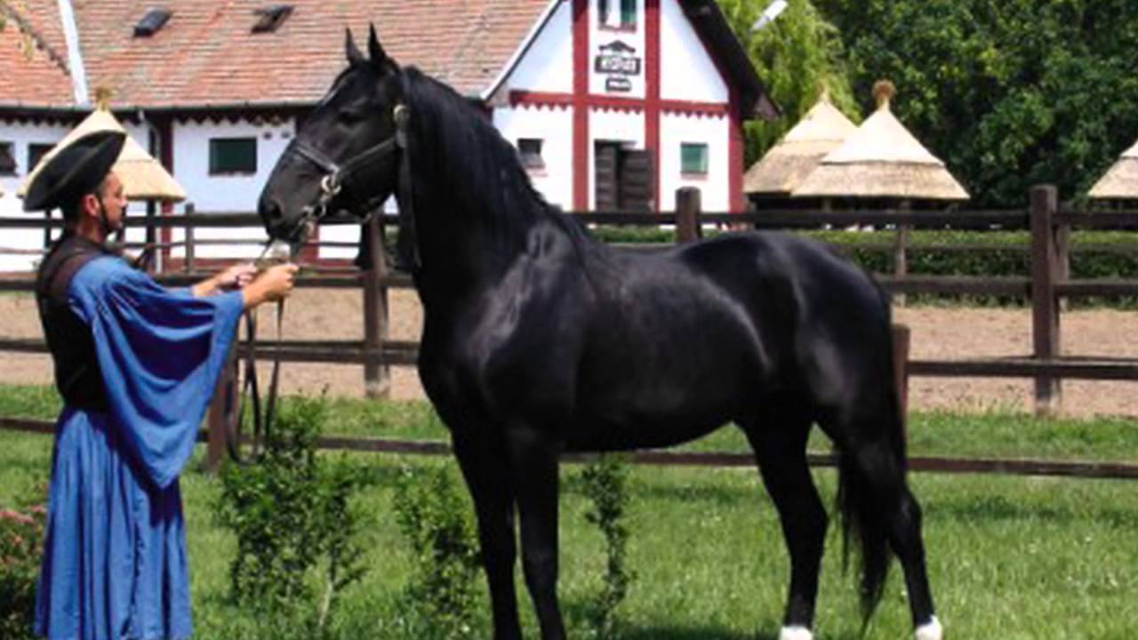 Hortobágy