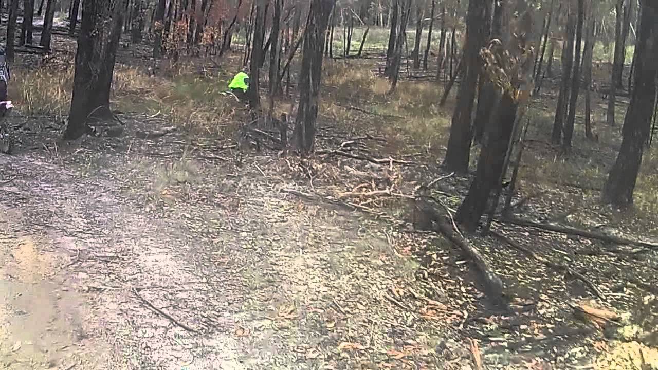 dirtriderz