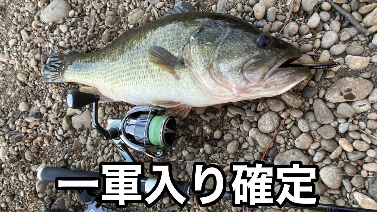 好んで使わなかったジャンルのルアー、一軍入り確定しました。