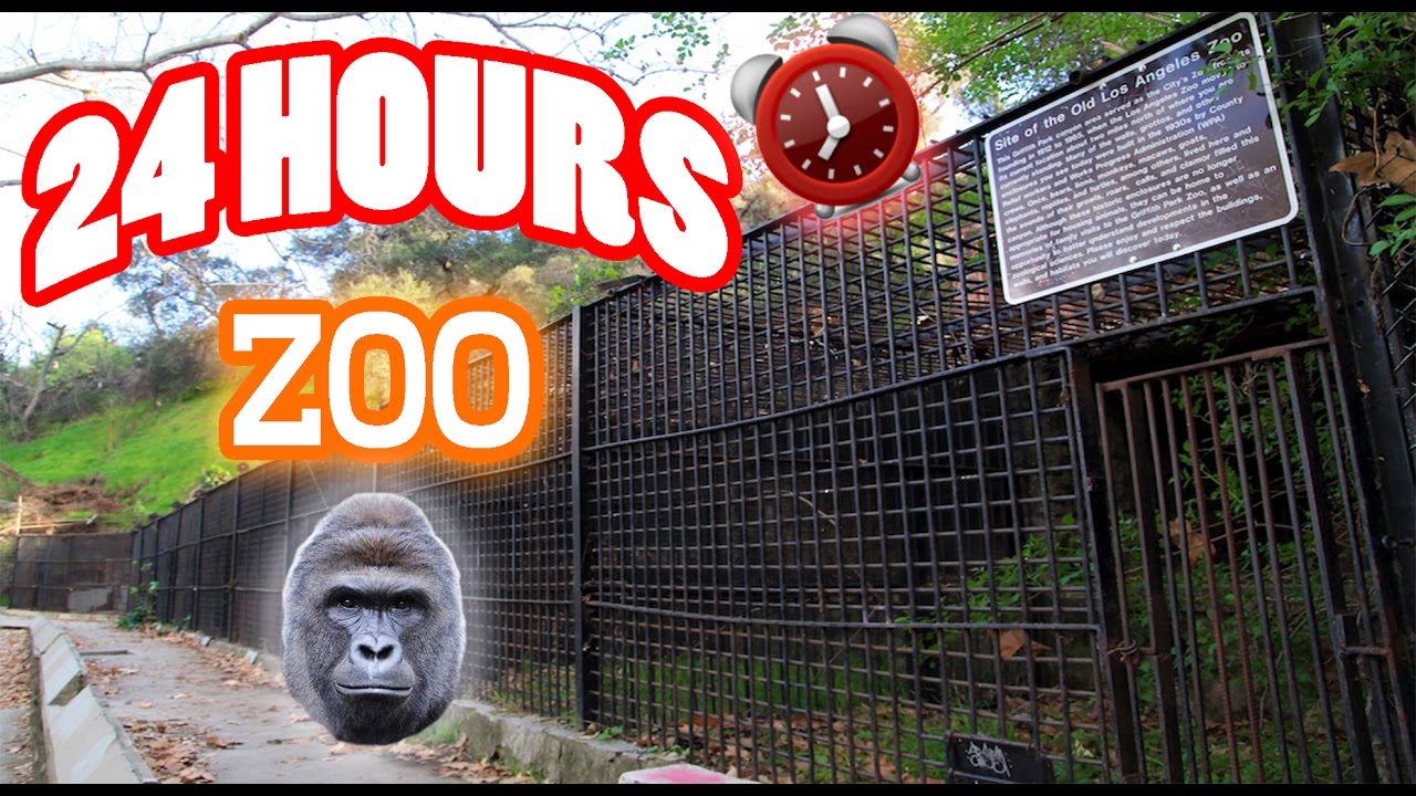 (VOICES!) 24 HOUR OVERNIGHT in ABANDONED ZOO GONE WRONG | SCARY OVERNIGHT CHALLENGE in a HAUNTED ZOO
