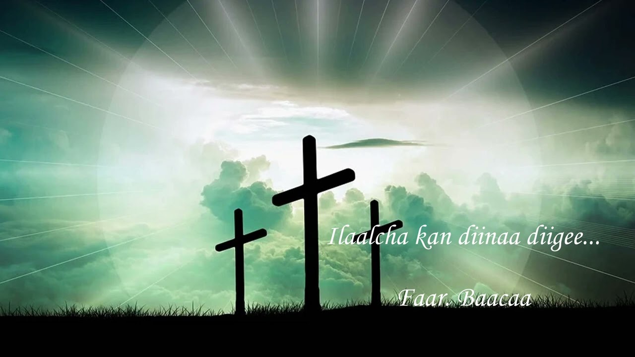 Ilalcha kan diinaa diigee faar. Baacaa