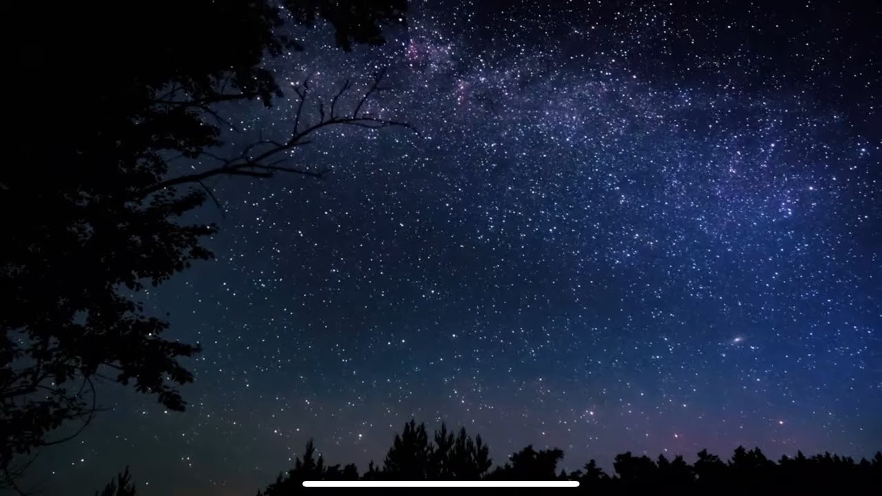 Zion Forever Project - Night Skies Through Visitors Eyes