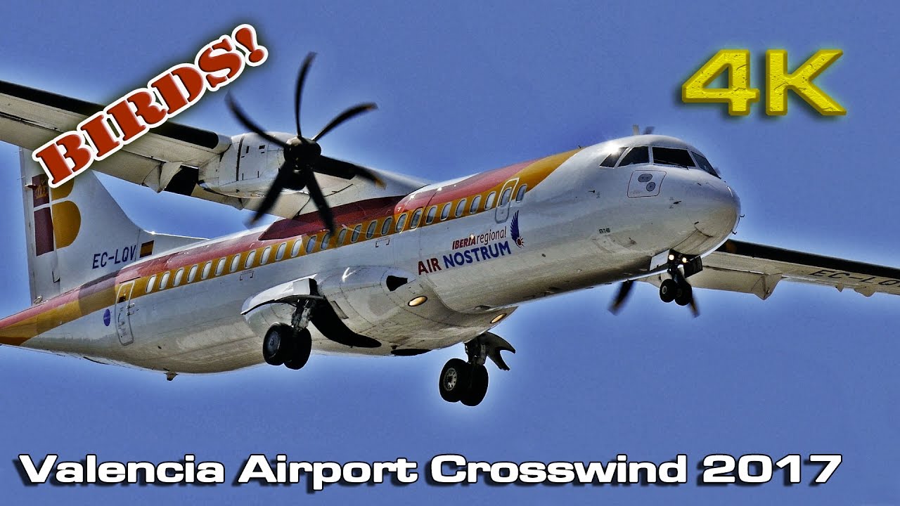 Valencia Airport Crosswind 2017 (Birds on RWY)[4K]