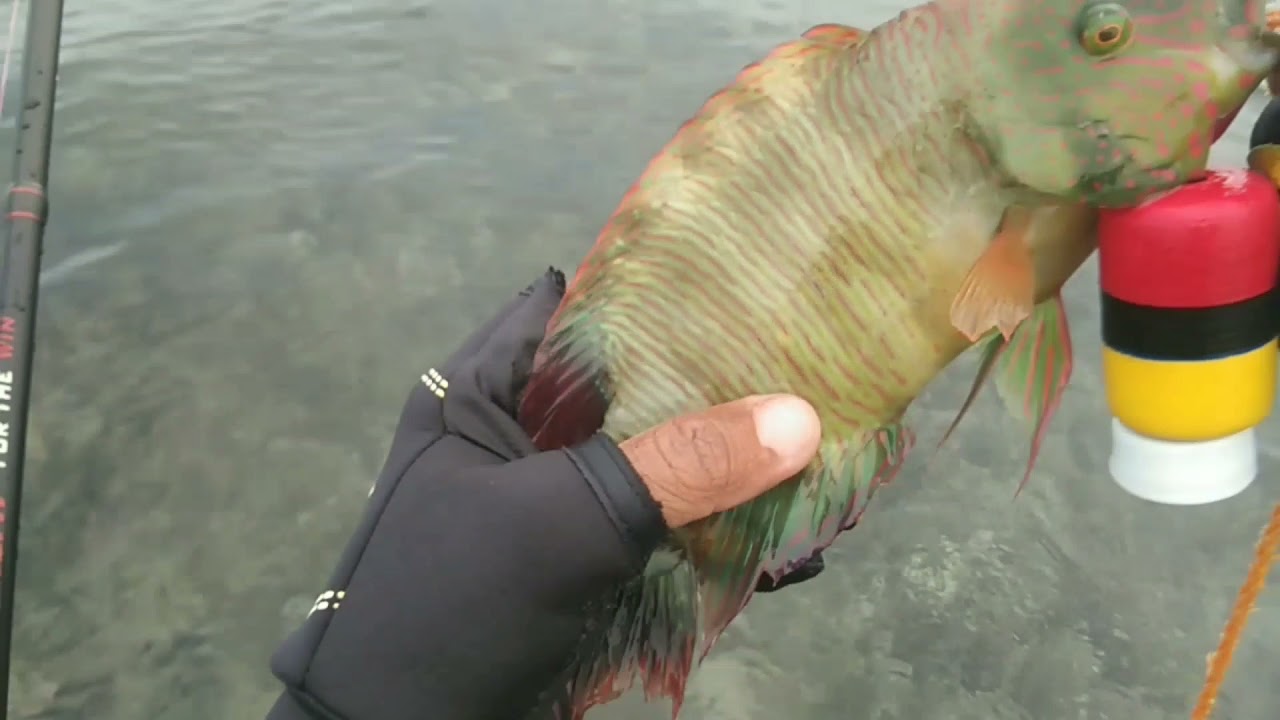 VLOG #6 PALAUIG FISHING SPOT /|ZAMBALES FISHING