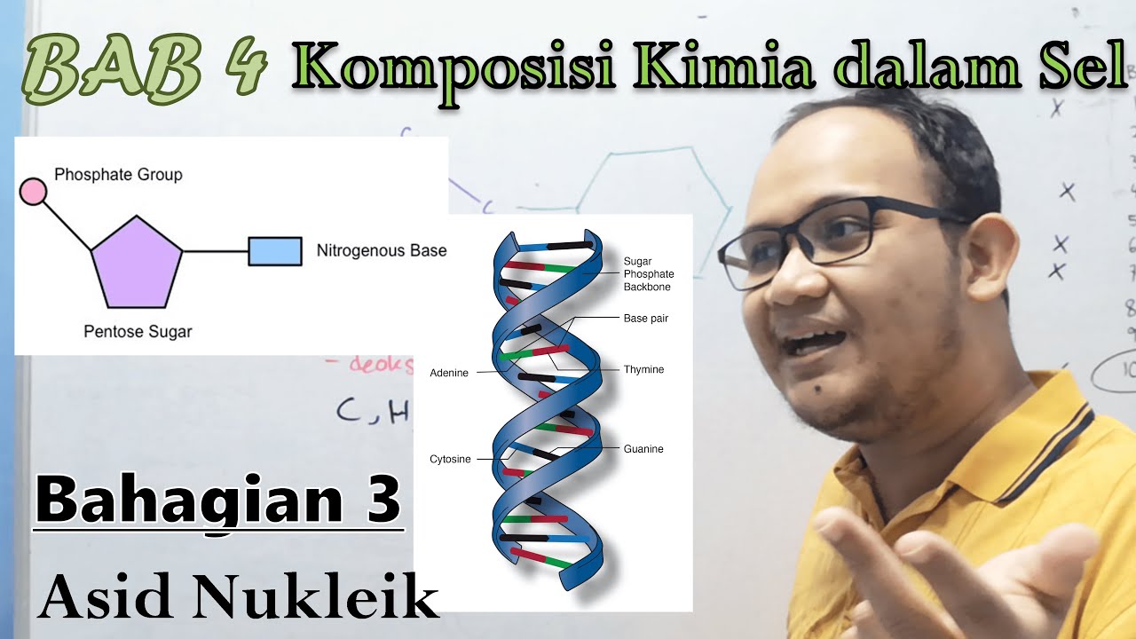 KSSM Bio Ting. 4  - Bab 4 - Komposisi Kimia dalam Sel (Part 3: Asid Nukleik)