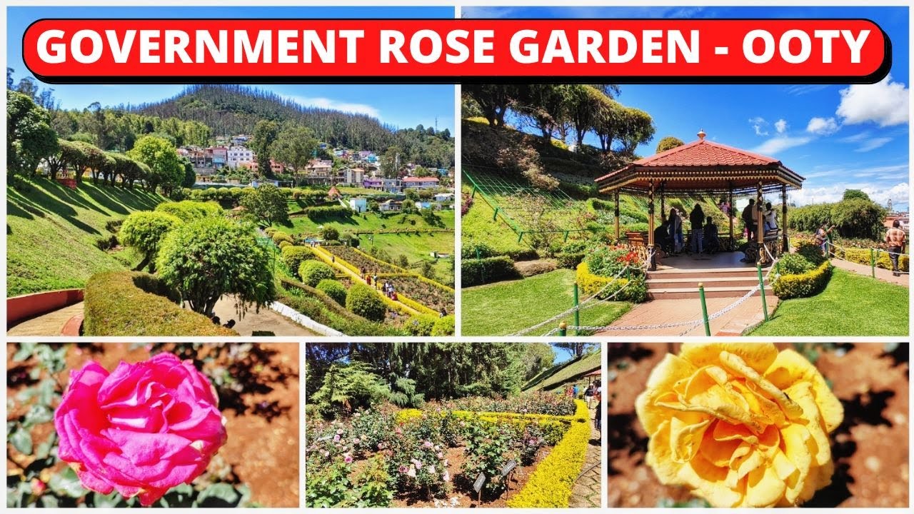 Government Rose Garden - Ooty || Best Tourist Places to Visit in Ooty || Episode - 6