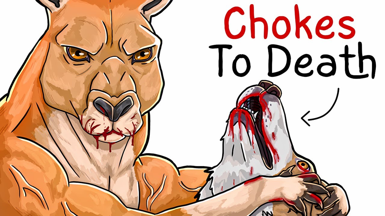 Why it Sucks To Be Born As a Kangaroo