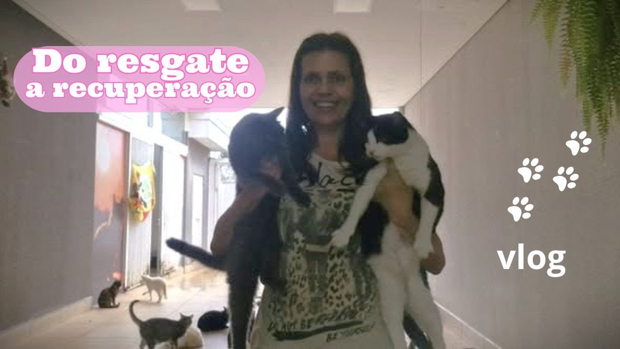 Chuva no gatil e atualização da gatinha resgatada (Rosa)