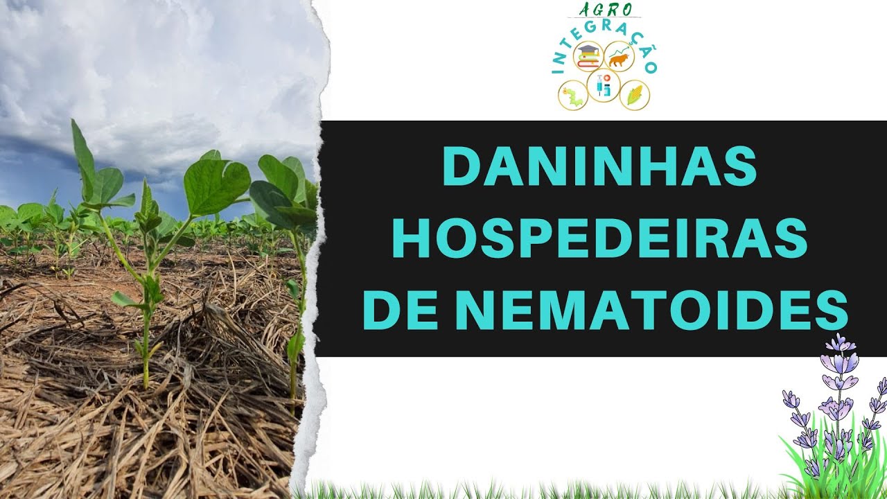 Plantas Daninhas Hospedeiras de Nematoides.