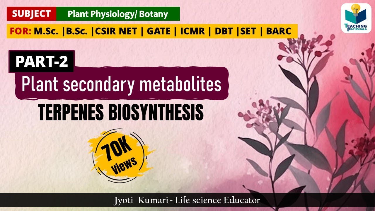 PLANTS SECONDARY METABOLITES (PART-2) |TERPENES  BIOSYNTHESIS |CSIR NET|