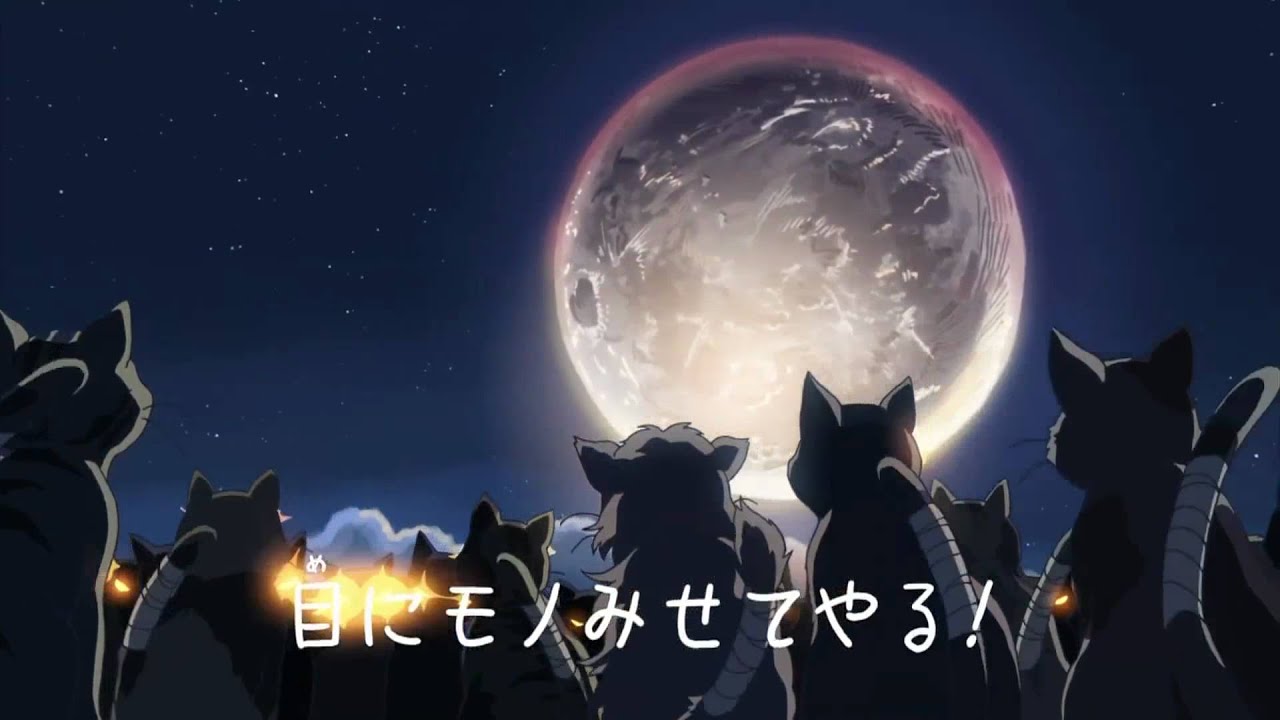 新海誠 「猫の集会」 HD 中文字幕
