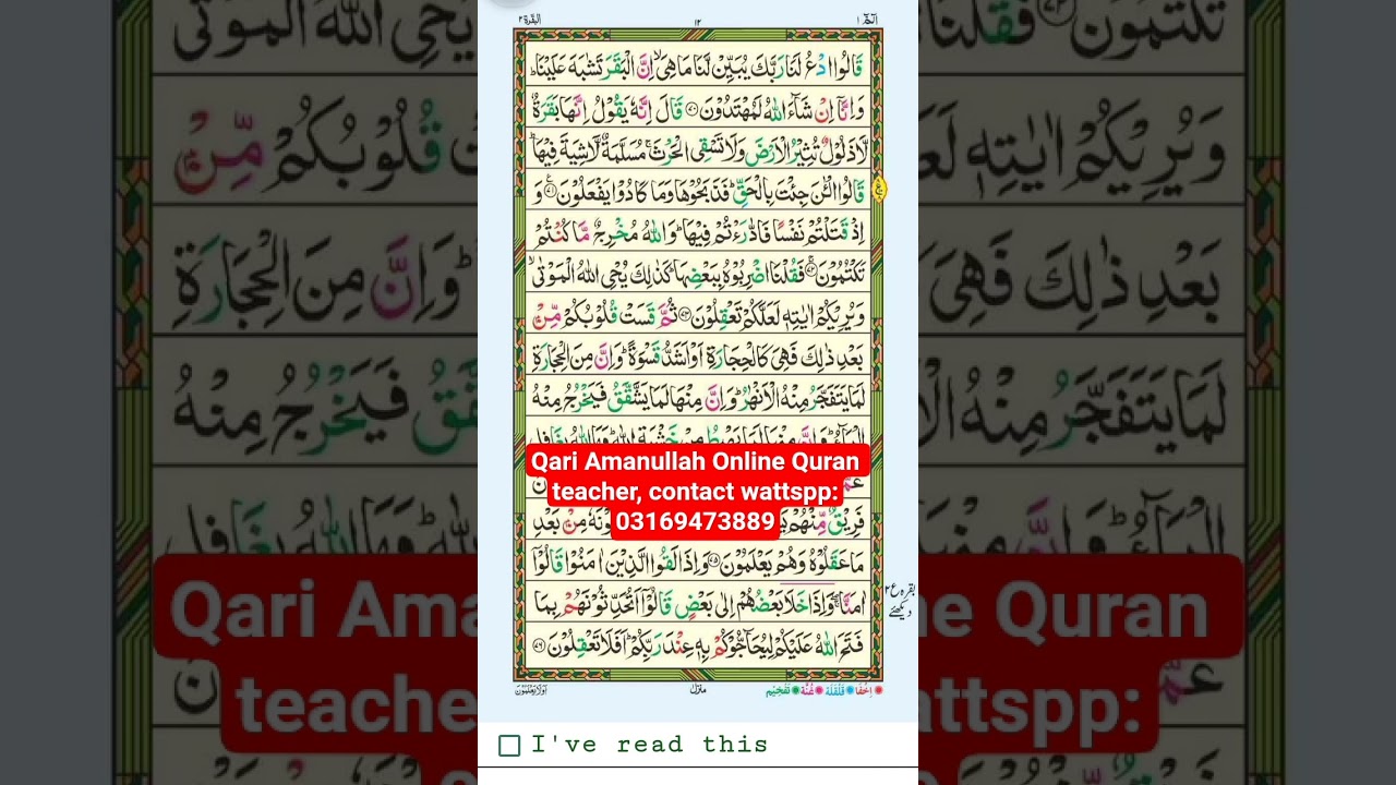 Qari Amanullah Online Quran teacher #tilawati354 #islamic#quran #shorts #tilawat