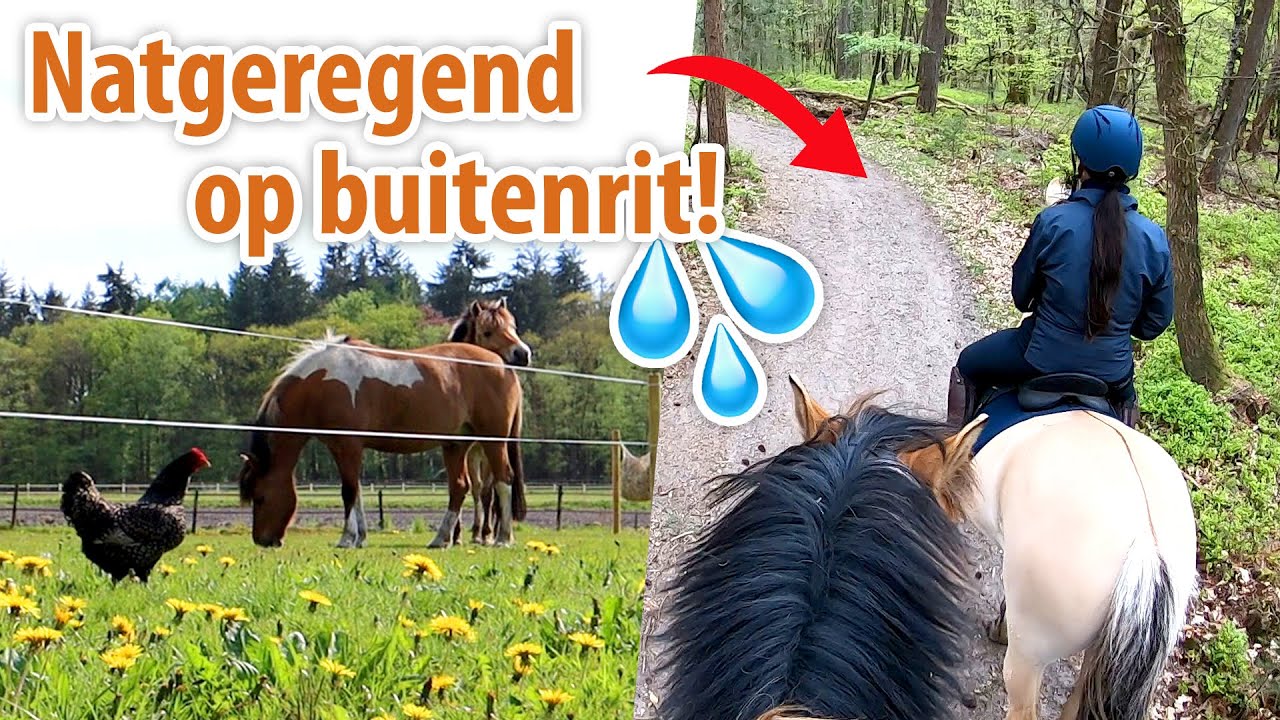 Racen op buitenrit & mogen we nu eindelijk de bak aanleggen?! | felinehoi VLOG #343