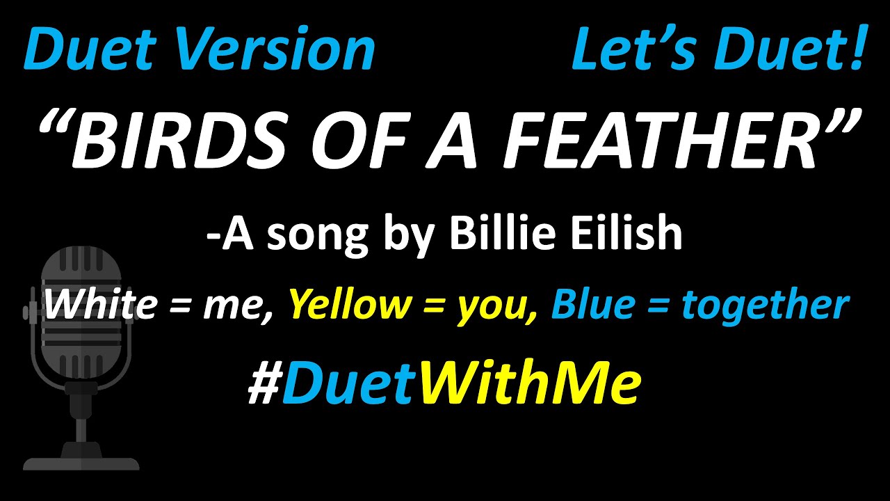 Billie Eilish - BIRDS OF A FEATHER (Duet Version) | Cover | Full Version