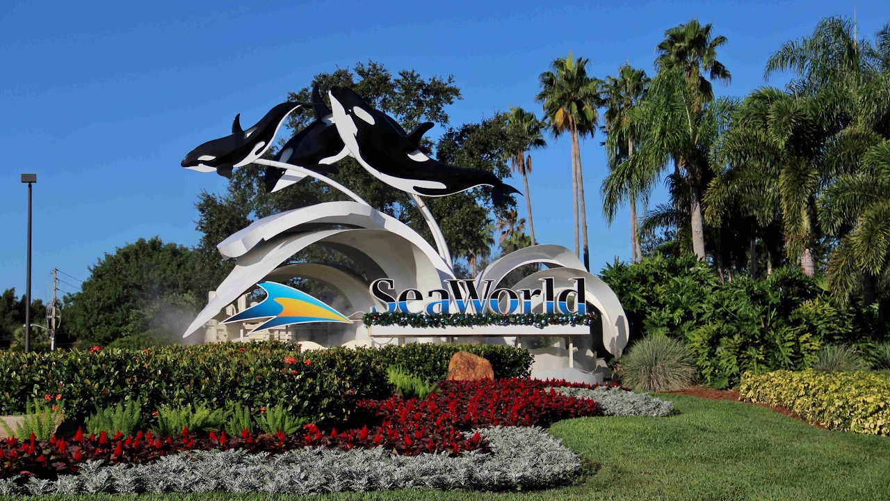 USA 2013 - Teil 11 - SeaWorld 1/3