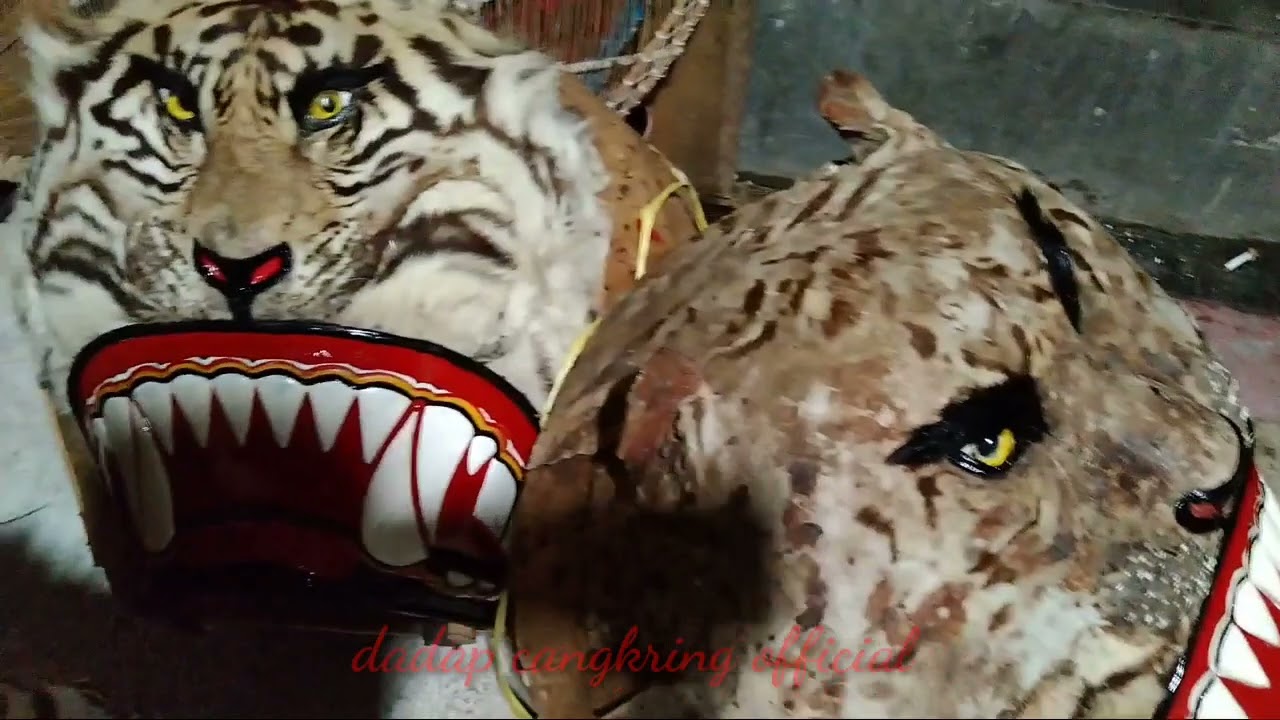 part 1 . PEMASANGAN KULIT KAMBING UNTUK BARONGAN COREK .@Dhemit wengi @GANTHIL TV