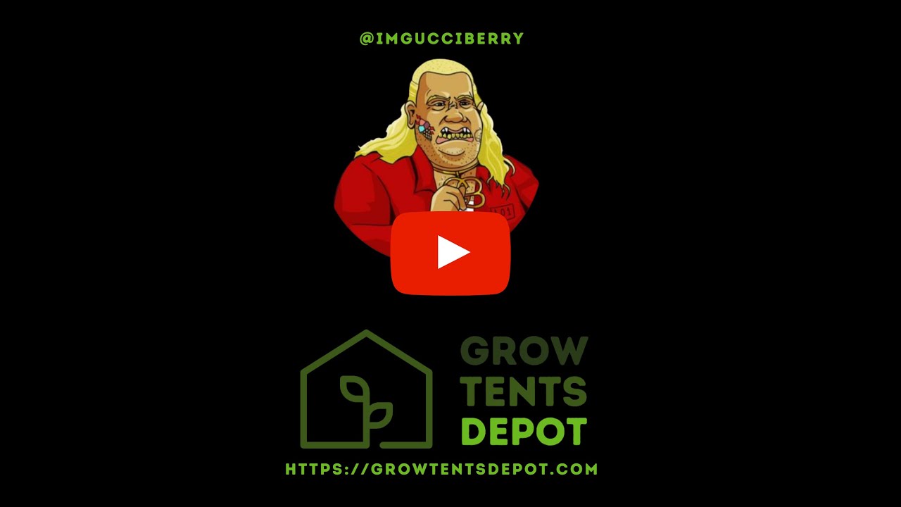 Gucci Berry Grow Series Trailer