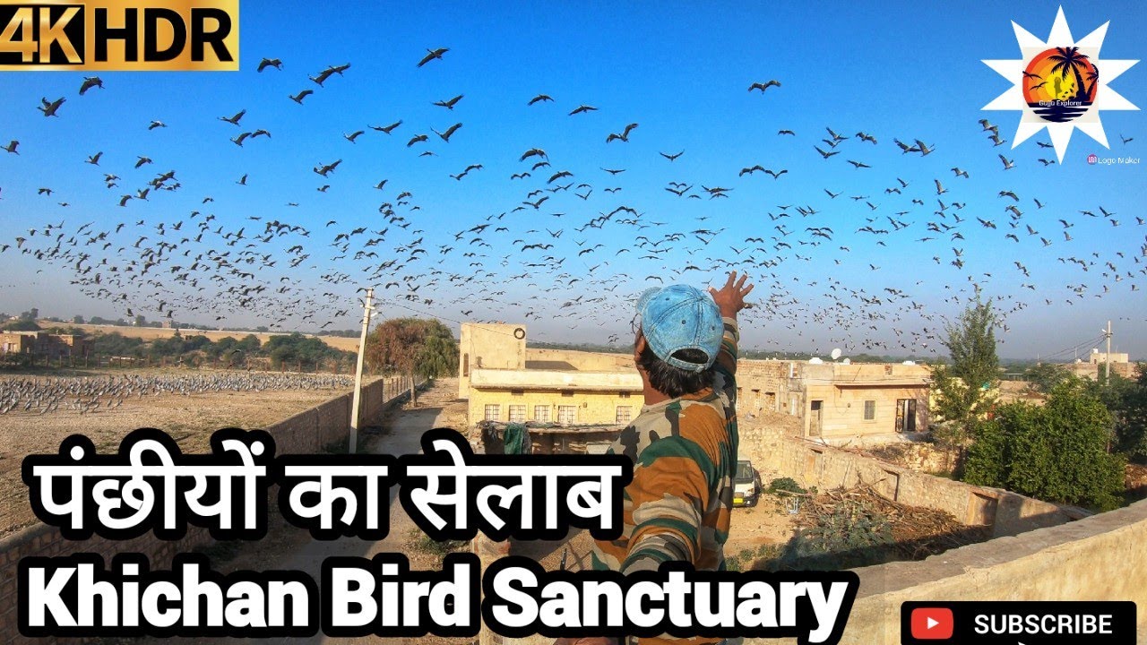 khichan bird sanctuary| tourist places near jaisalmer|rajasthan tourist places|rajasthan tour/khichn