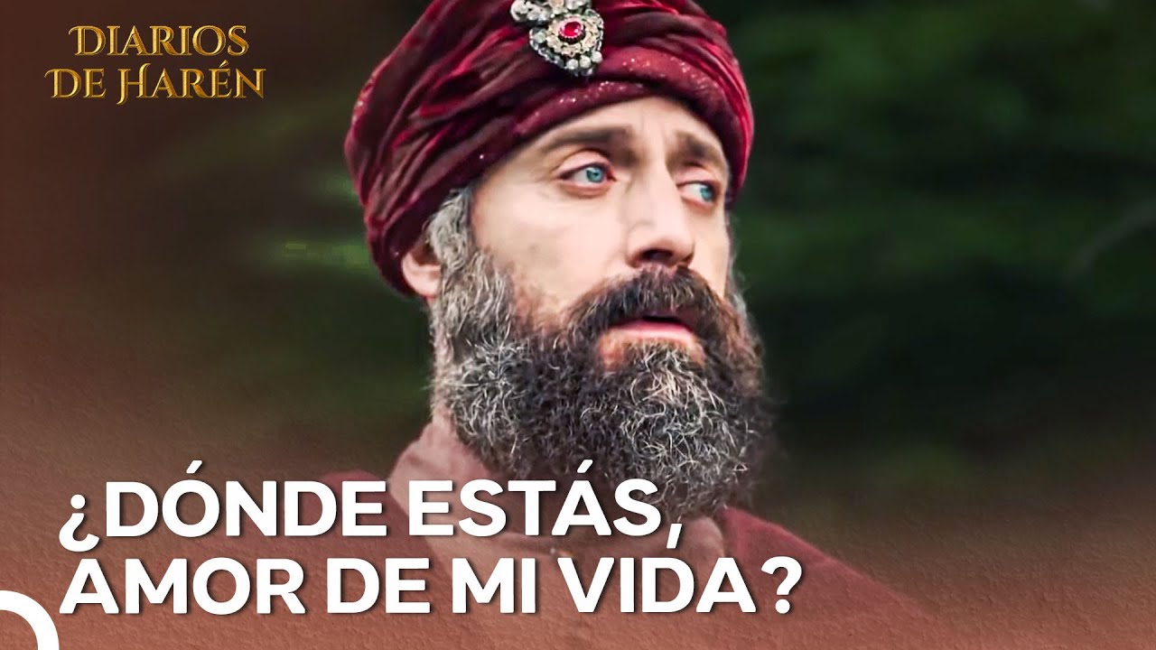 Süleyman Está Buscando Hürrem Todas Partes | Diarios De Harén