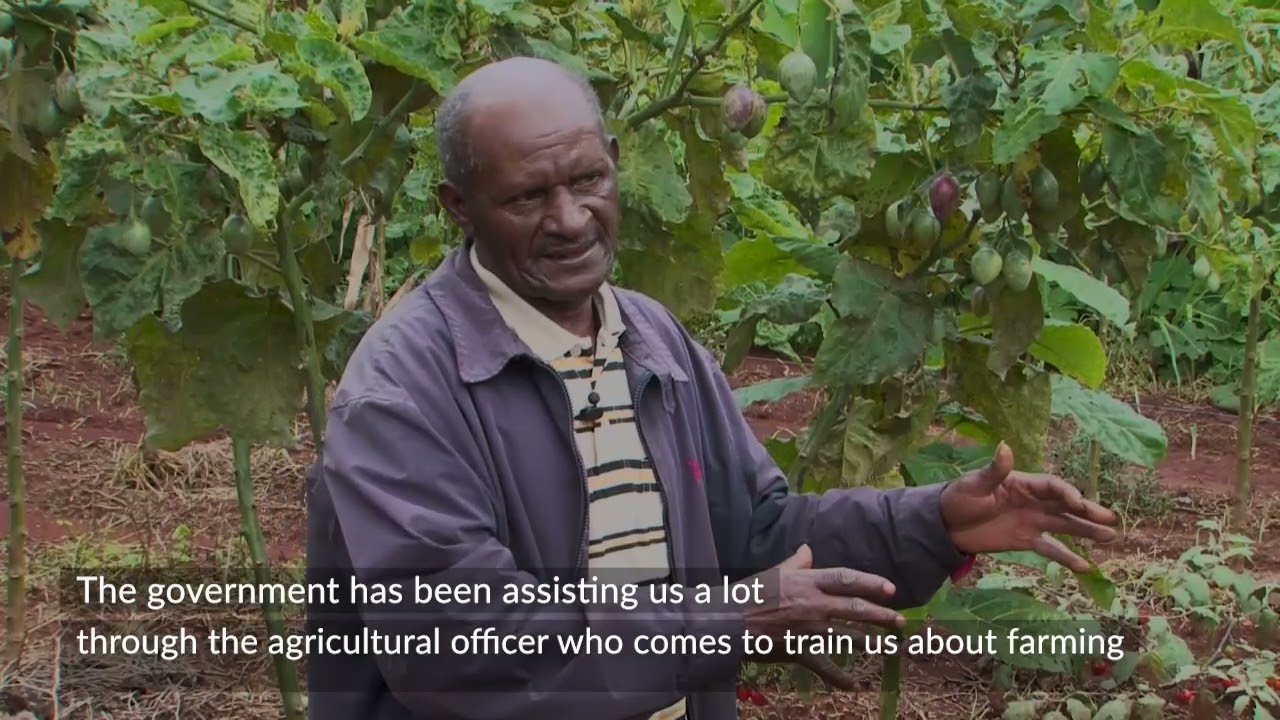 Documentary on Pepino Melon Value addition by Kamburu Group