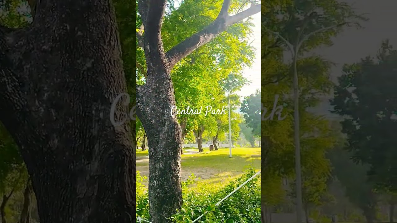 Park View,,,🌴🌴 #centralpark5 #shortsyoutube