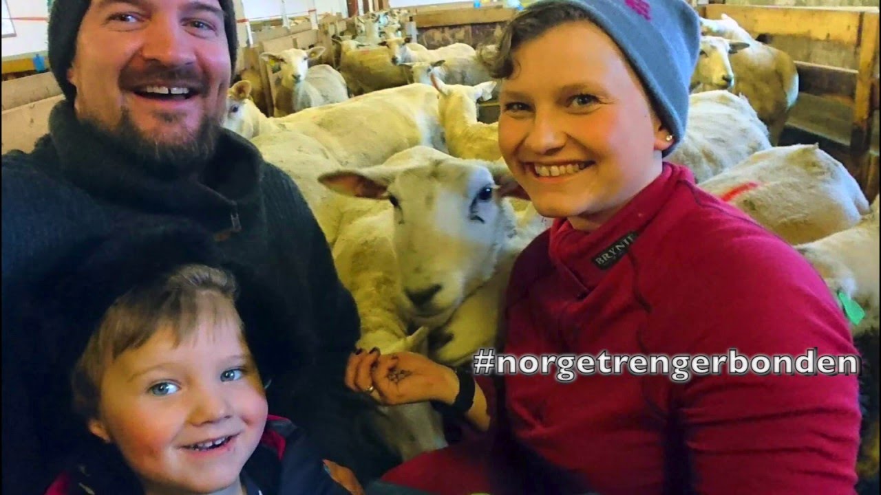 #norgetrengerbonden