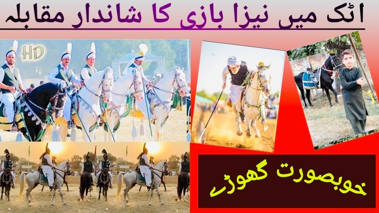 Nezabazi (Tent Pegging) organised in Zila Council Stadium , Attock || Really Enjoyed with Ali Hsn😍🤩