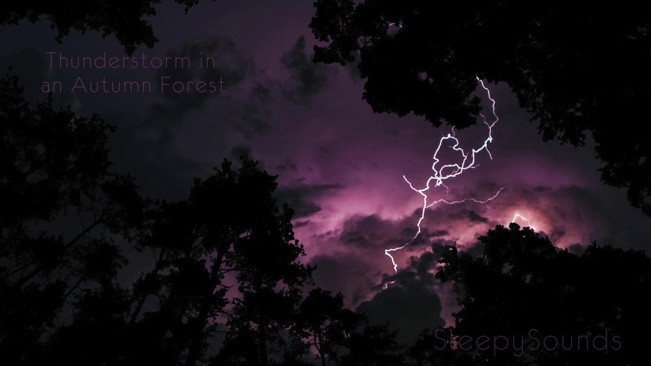 Thunderstorm in Autumn Forest &ndash; 10 Hours of Crickets, Rain and Thunder &ndash; Sleep Sound