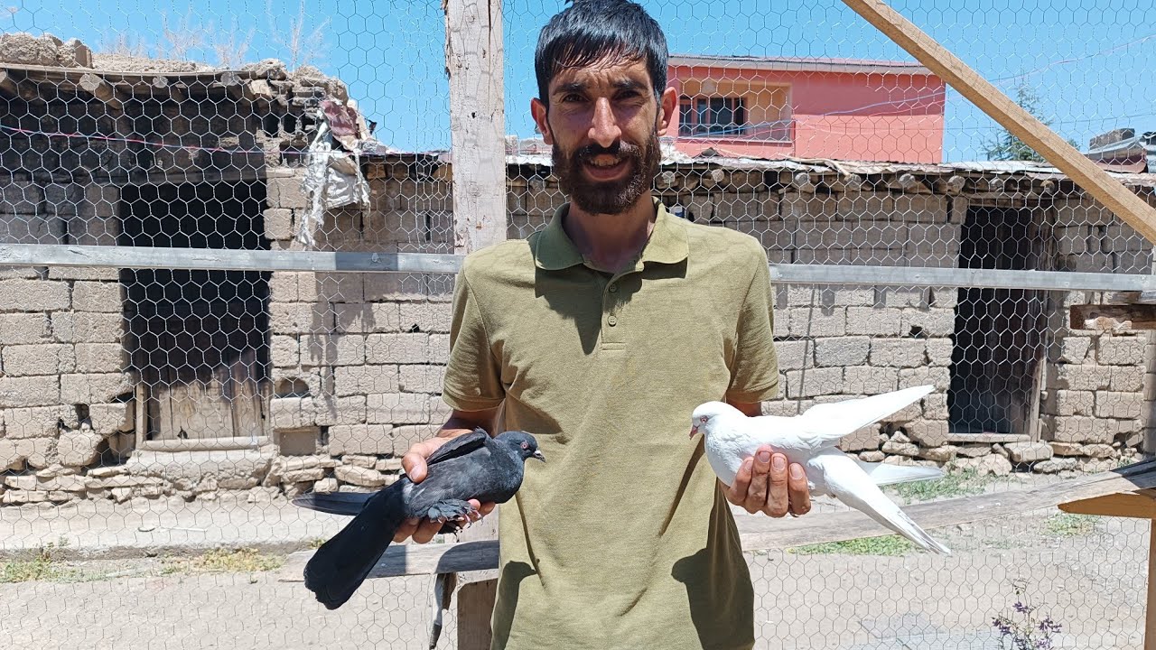 onur yıldız kardeşin göy yarışını çektik