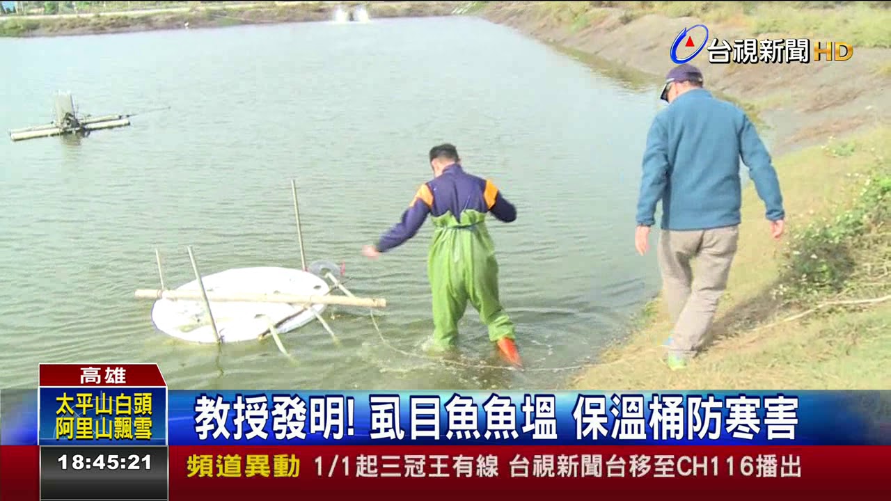教授發明!虱目魚魚塭保溫桶防寒害