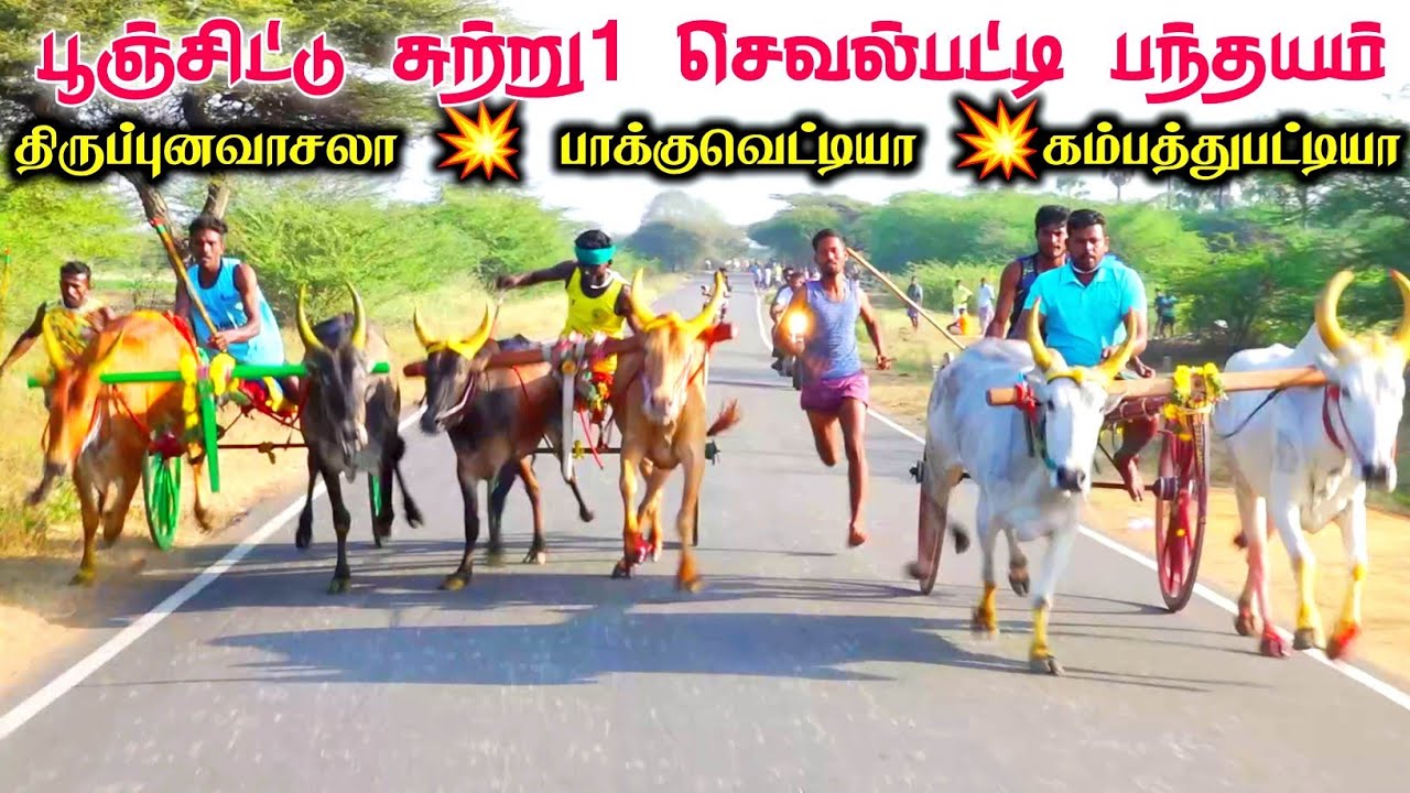செவல்ப்பட்டி பூஞ்சிட்டு இரண்டாம் சுற்று பந்தயம்