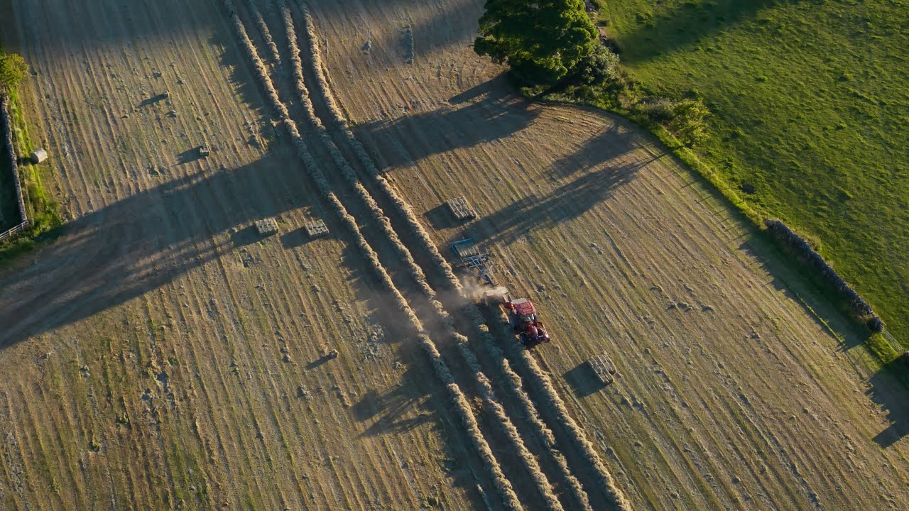 Baling hay and haylage - upper westerdale