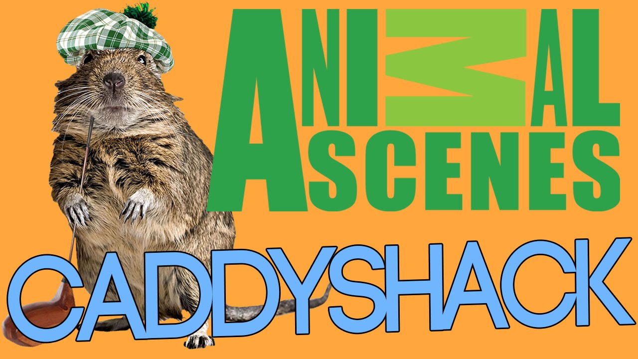 Animal Scenes Episode 2 - Caddyshack