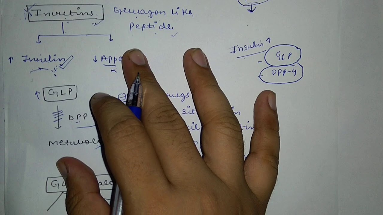 DPP-4 Inhibitors Anti -Diabetic Drug. Full explain in hindi