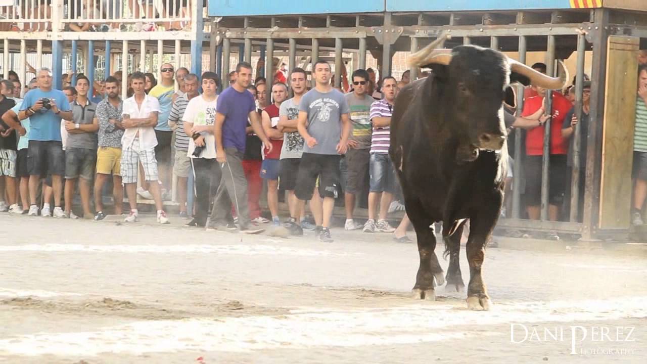 Toros Grao de Castellón 2013
