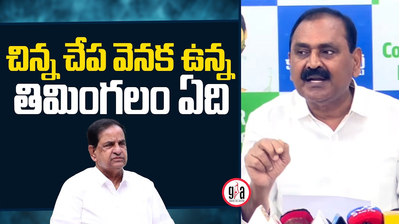 చిన్న చేప వెనక ఉన్న తిమింగలం ఏది : Bhumana Karunakar Reddy about BR Naidu | greatandhra.com