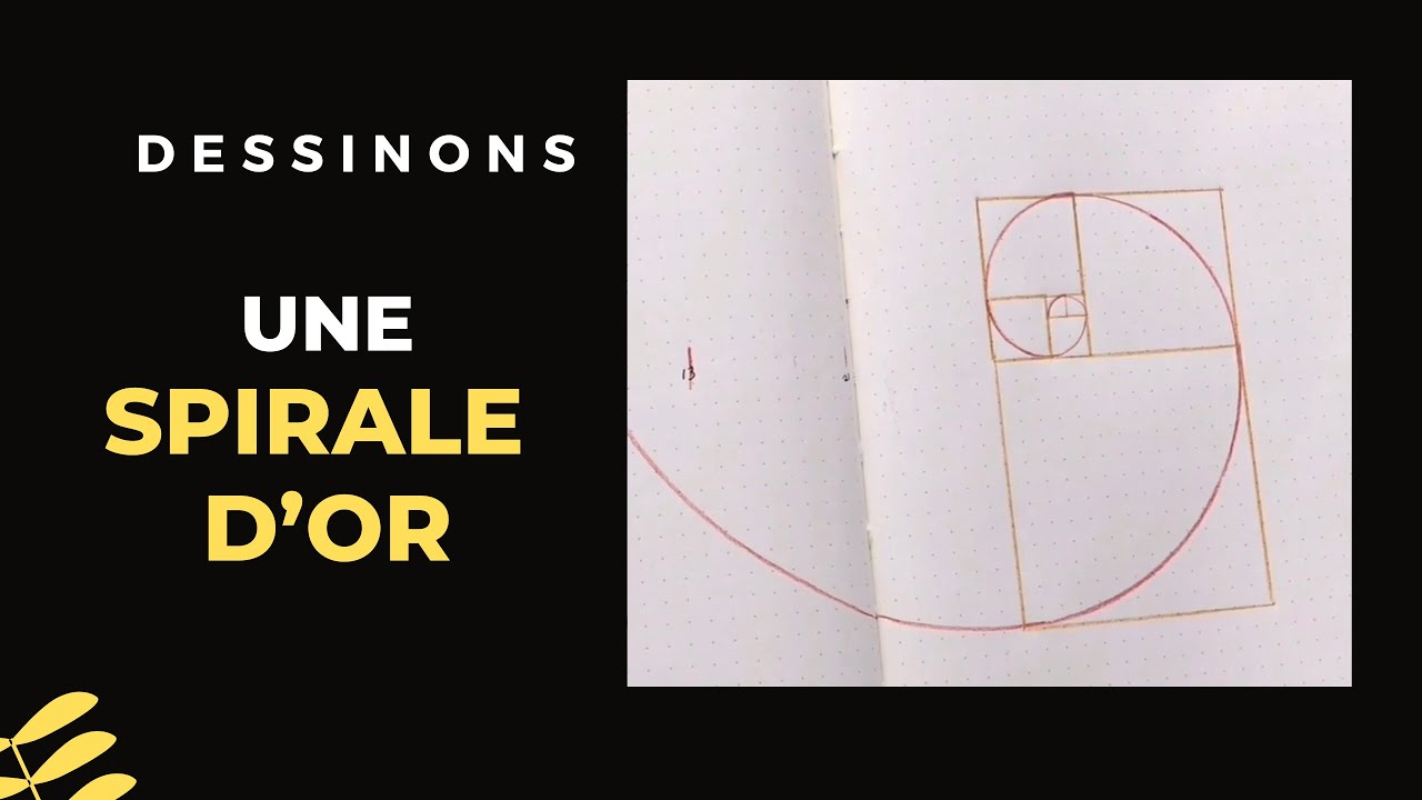 La SPIRALE D’OR  ✨ Géométrie sacrée ✨ comment dessiner ✨ Fibonacci