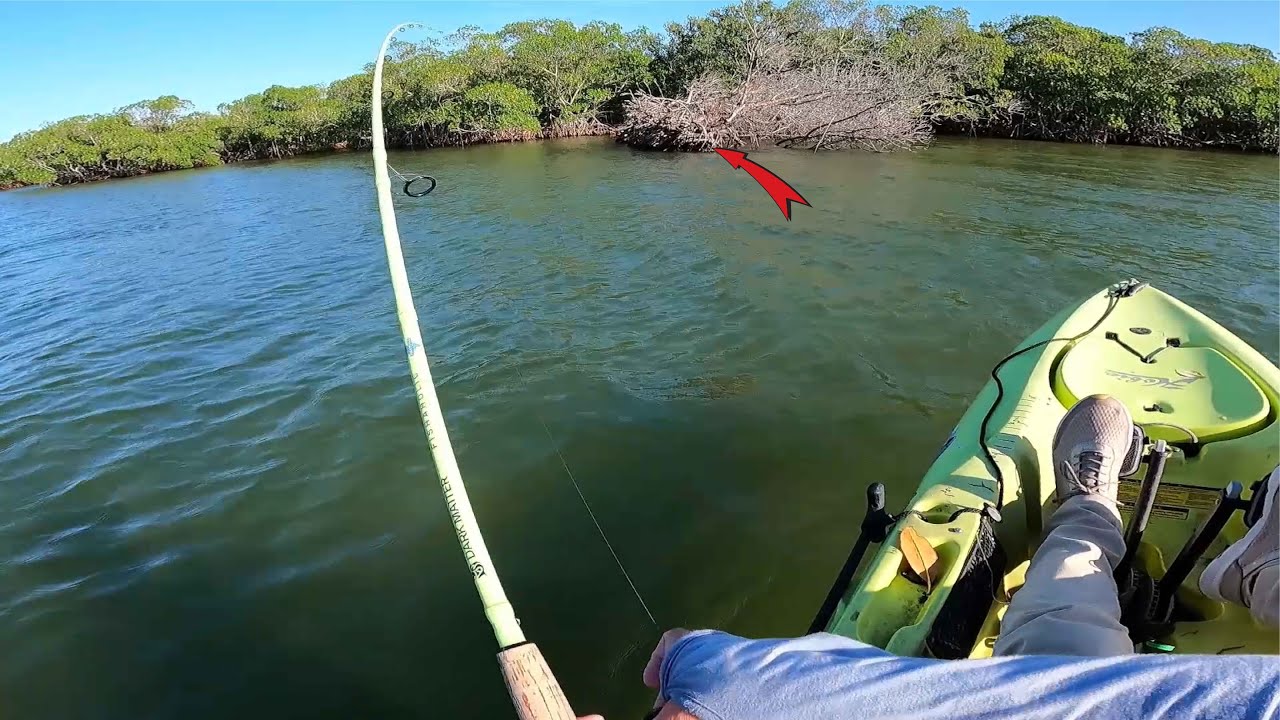 EPIC Surprise Catch On This Dead Mangrove - Multi-species Inshore Fishing Sebastian Florida
