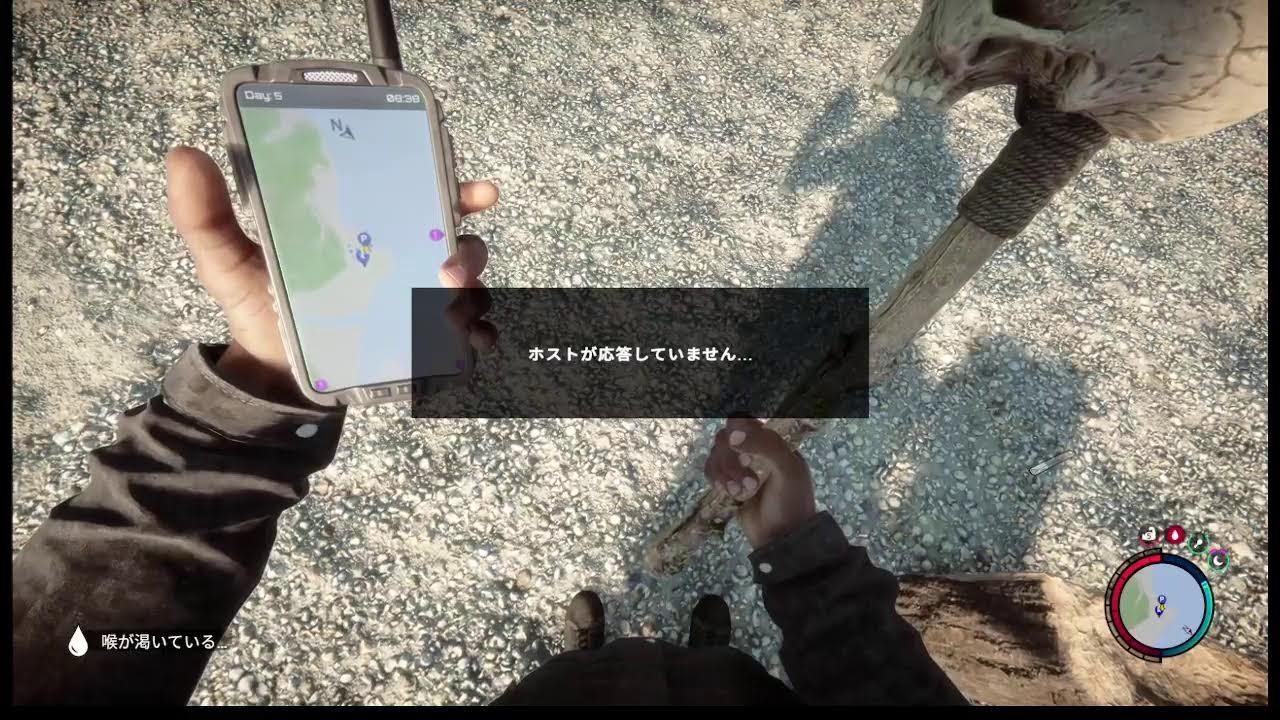 サンズオブフォレスト！今日も楽しく　垂れ流してるだけの 配信