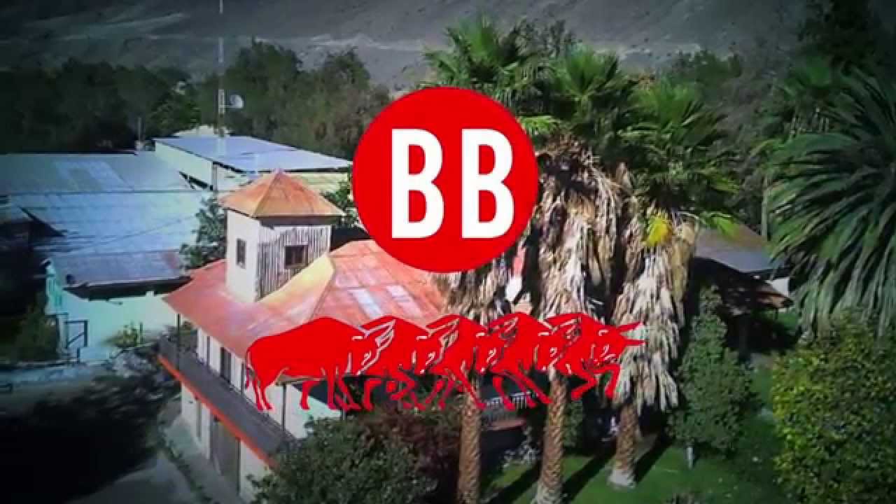 Pisco Bou Barroeta