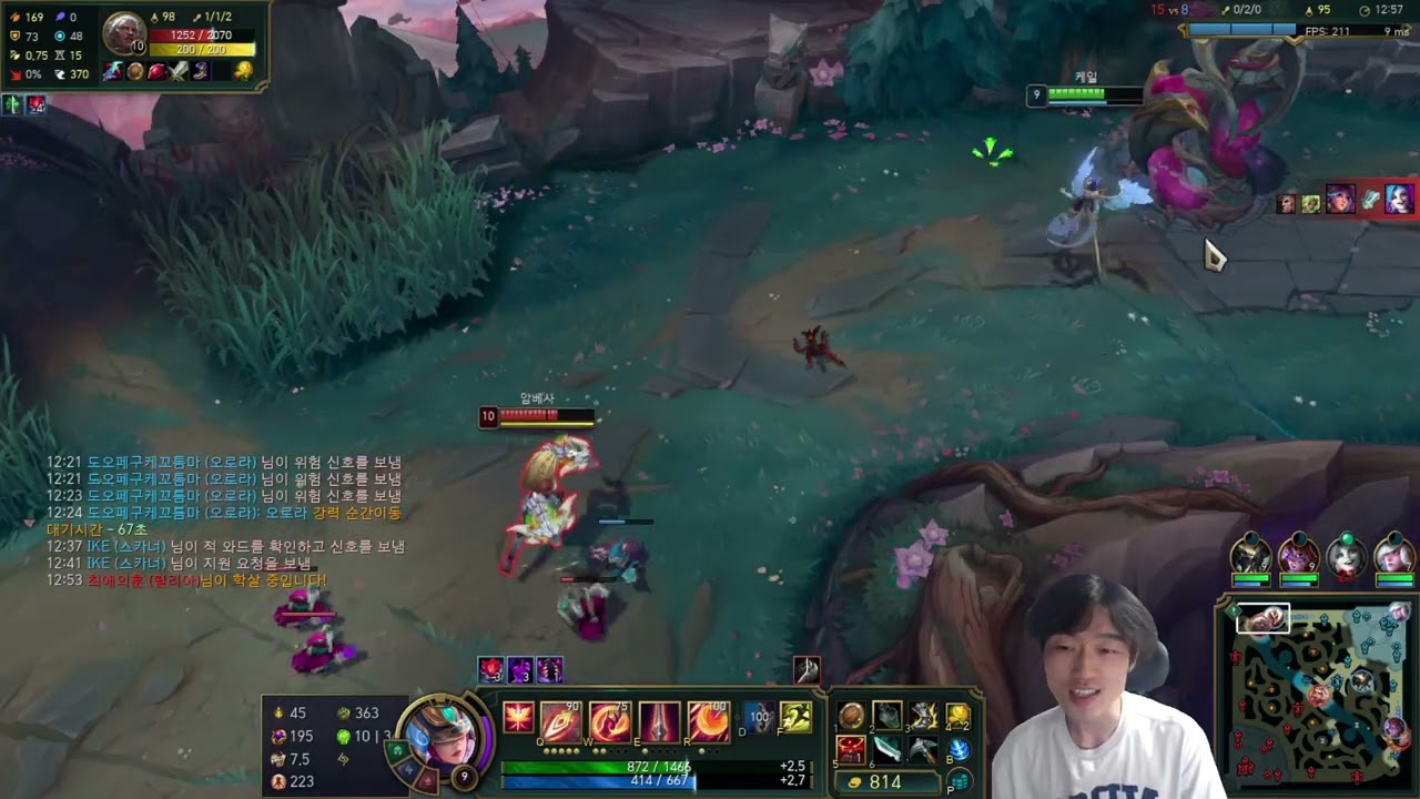 케일 vs 암베사